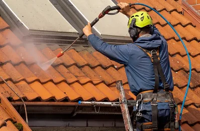 Démoussage et hydrofuge de toiture à Berdoues